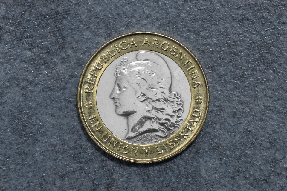 argentinská mince